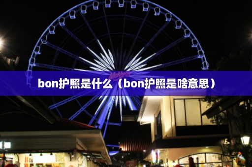 bon护照是什么（bon护照是啥意思）  第1张