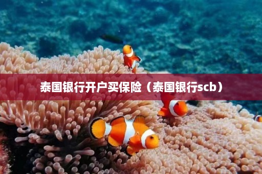 泰国银行开户买保险（泰国银行scb）