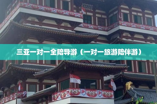 三亚一对一全陪导游（一对一旅游陪伴游）