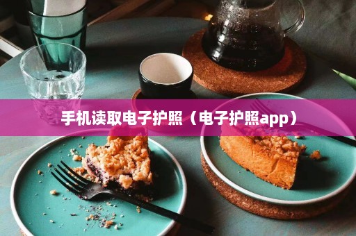 手机读取电子护照（电子护照app）