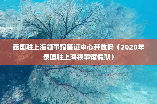 泰国驻上海领事馆签证中心开放吗（2020年泰国驻上海领事馆假期）