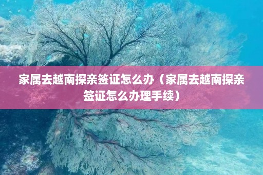 家属去越南探亲签证怎么办（家属去越南探亲签证怎么办理手续）  第1张