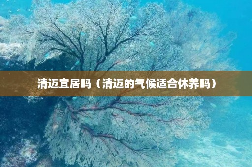 清迈宜居吗（清迈的气候适合休养吗）