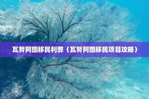 瓦努阿图移民利弊（瓦努阿图移民项目攻略）