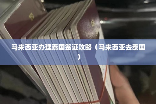 马来西亚办理泰国签证攻略（马来西亚去泰国）  第1张