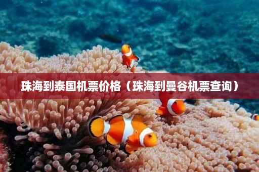 珠海到泰国机票价格（珠海到曼谷机票查询）