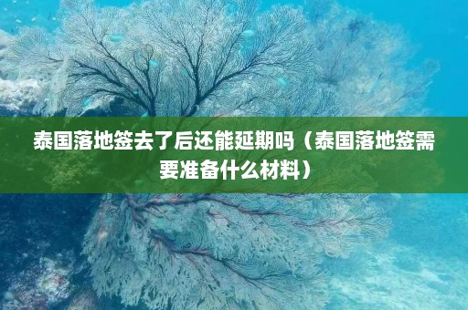 泰国落地签去了后还能延期吗（泰国落地签需要准备什么材料）