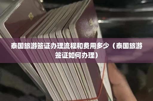 泰国旅游签证办理流程和费用多少（泰国旅游签证如何办理）  第1张