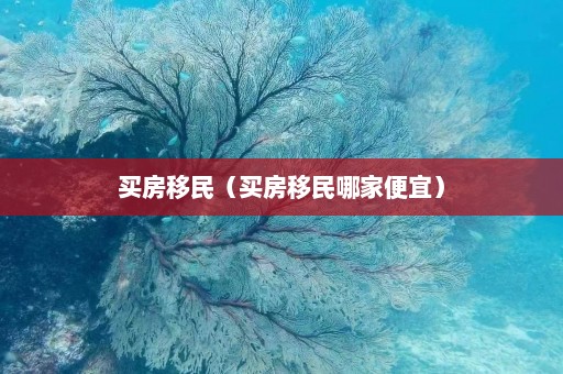 买房移民（买房移民哪家便宜）