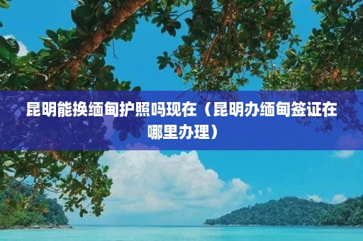 昆明能换缅甸护照吗现在（昆明办缅甸签证在哪里办理）