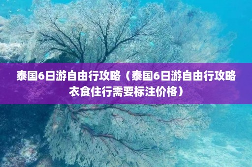 泰国6日游自由行攻略（泰国6日游自由行攻略衣食住行需要标注价格）