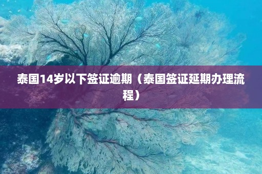 泰国14岁以下签证逾期（泰国签证延期办理流程）