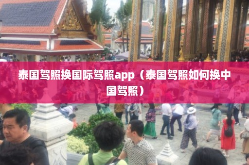 泰国驾照换国际驾照app（泰国驾照如何换中国驾照）  第1张