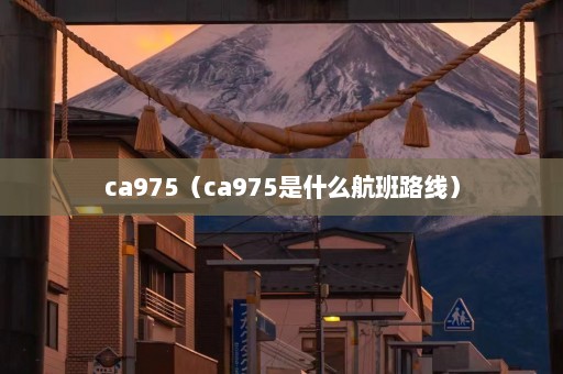 ca975（ca975是什么航班路线）