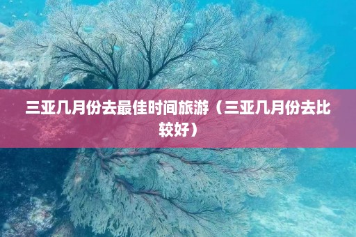 三亚几月份去最佳时间旅游（三亚几月份去比较好）