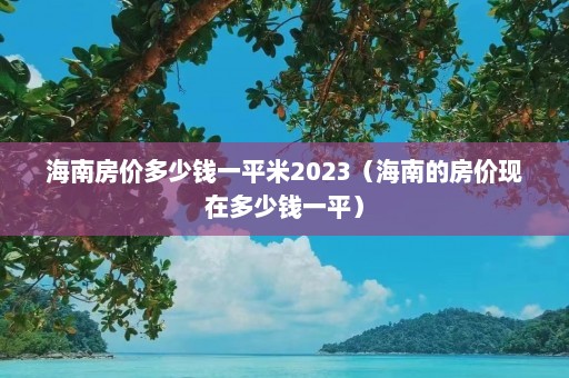 海南房价多少钱一平米2023（海南的房价现在多少钱一平）