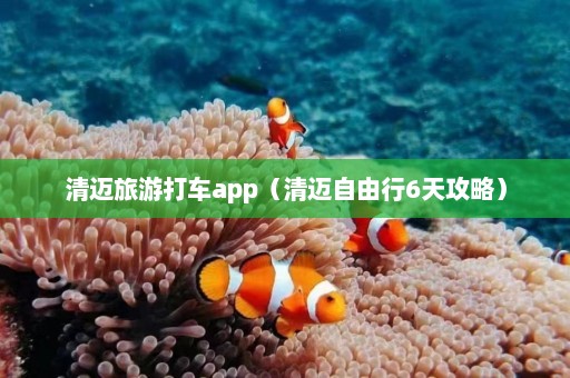 清迈旅游打车app（清迈自由行6天攻略）