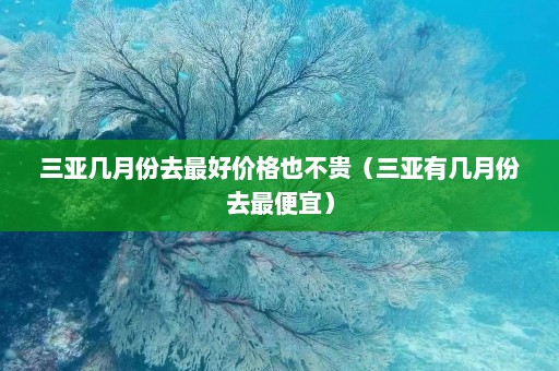 三亚几月份去最好价格也不贵（三亚有几月份去最便宜）