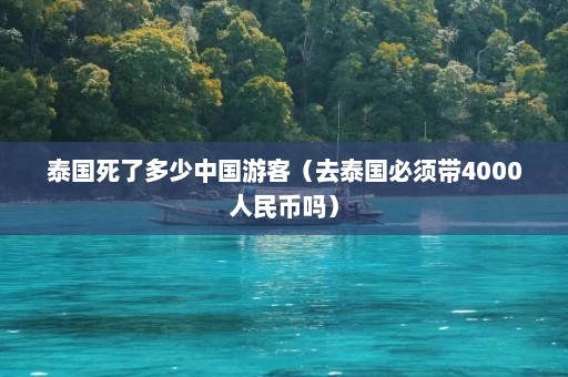 泰国死了多少中国游客（去泰国必须带4000人民币吗）