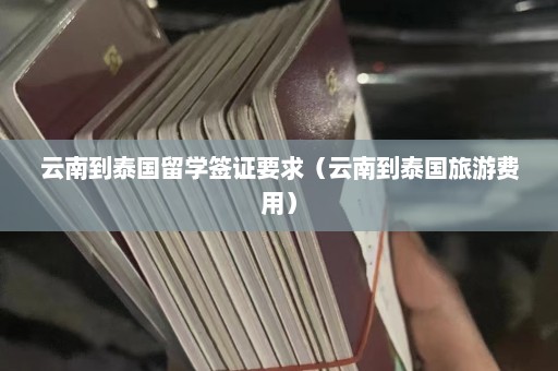 云南到泰国留学签证要求（云南到泰国旅游费用）  第1张