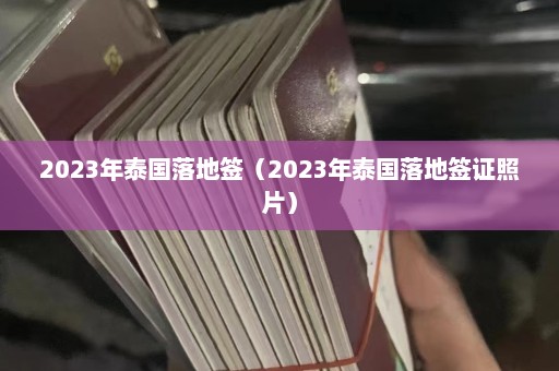 2023年泰国落地签（2023年泰国落地签证照片）