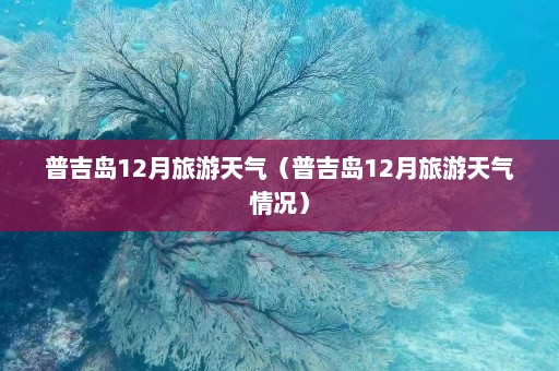 普吉岛12月旅游天气（普吉岛12月旅游天气情况）