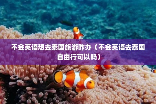 不会英语想去泰国旅游咋办（不会英语去泰国自由行可以吗）