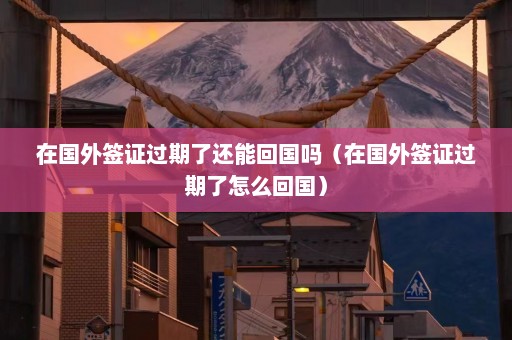 在国外签证过期了还能回国吗（在国外签证过期了怎么回国）