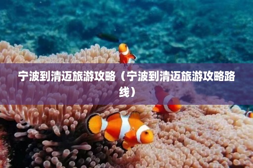 宁波到清迈旅游攻略（宁波到清迈旅游攻略路线）