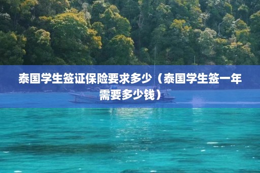 泰国学生签证保险要求多少（泰国学生签一年需要多少钱）