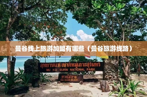 曼谷线上旅游加盟有哪些（曼谷旅游线路）