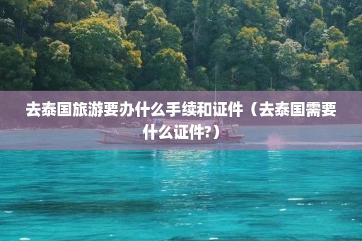 去泰国旅游要办什么手续和证件（去泰国需要什么证件?）