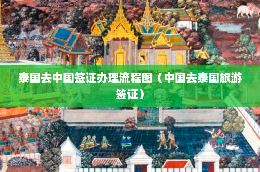 泰国去中国签证办理流程图（中国去泰国旅游签证）  第1张