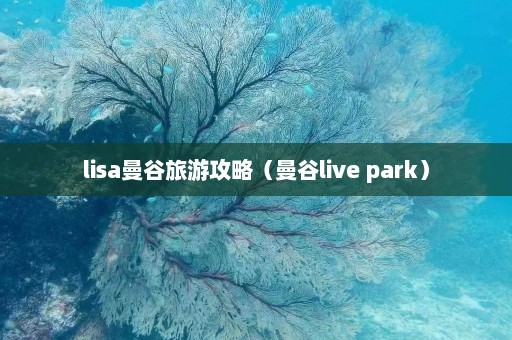 lisa曼谷旅游攻略（曼谷live park）