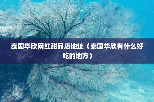 泰国华欣网红甜品店地址（泰国华欣有什么好吃的地方）