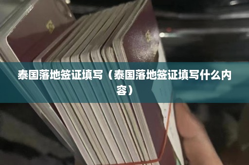 泰国落地签证填写（泰国落地签证填写什么内容）  第1张