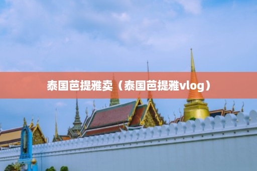 泰国芭提雅卖（泰国芭提雅vlog）  第1张