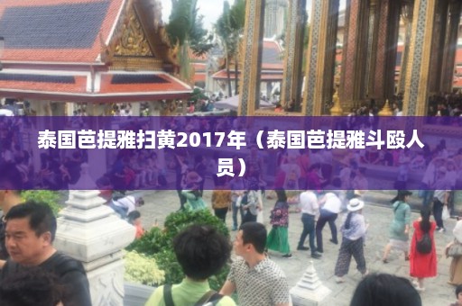 泰国芭提雅扫黄2017年（泰国芭提雅斗殴人员）