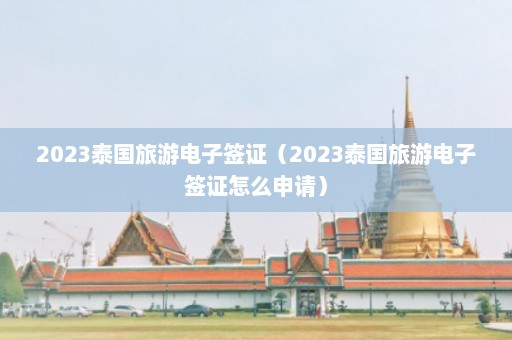 2023泰国旅游电子签证（2023泰国旅游电子签证怎么申请）