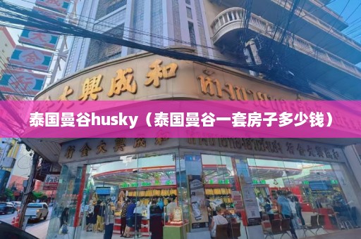 泰国曼谷husky（泰国曼谷一套房子多少钱）  第1张