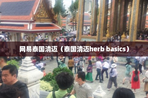 网易泰国清迈（泰国清迈herb basics）  第1张