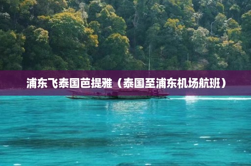 浦东飞泰国芭提雅（泰国至浦东机场航班）