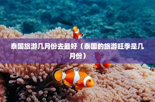 泰国旅游几月份去最好（泰国的旅游旺季是几月份）