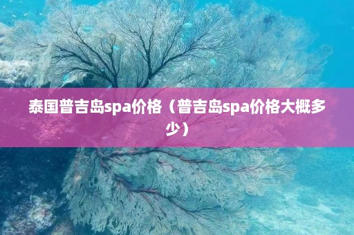 泰国普吉岛spa价格（普吉岛spa价格大概多少）