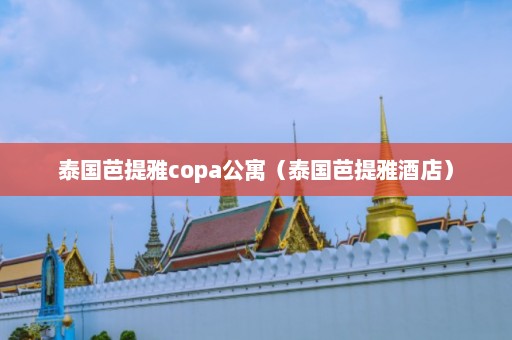 泰国芭提雅copa公寓（泰国芭提雅酒店）  第1张