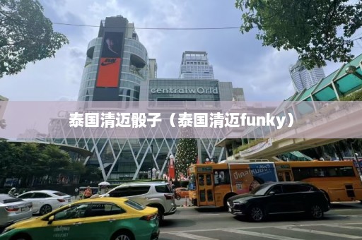 泰国清迈骰子（泰国清迈funky）  第1张