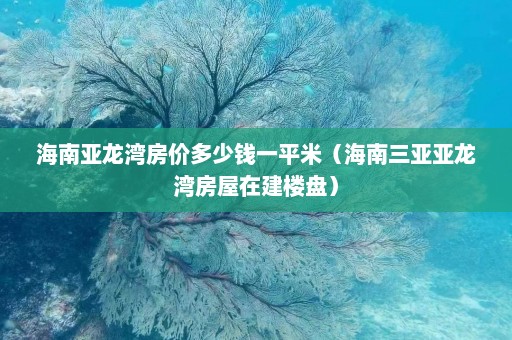 海南亚龙湾房价多少钱一平米（海南三亚亚龙湾房屋在建楼盘）