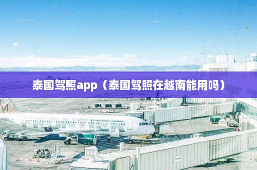 泰国驾照app（泰国驾照在越南能用吗）