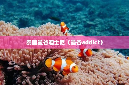 泰国曼谷迪士尼（曼谷addict）