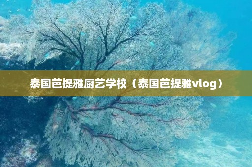 泰国芭提雅厨艺学校（泰国芭提雅vlog）